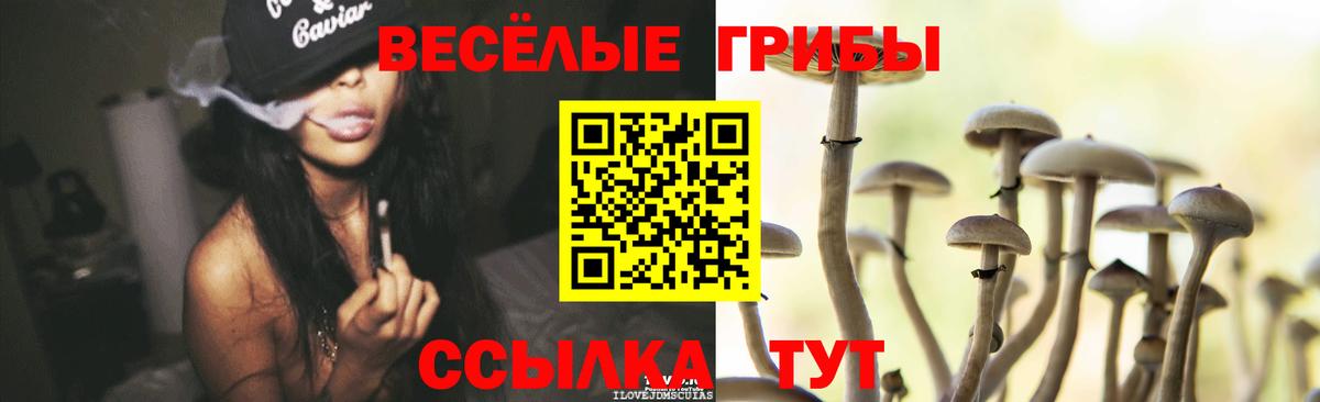 Псилоцибиновые грибы мицелий Барнаул